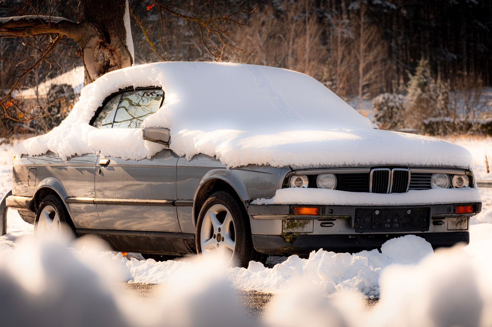 Classic & Luxury Car Shipping: Why Enclosed Transport Matters — SpeedyWay Auto Transport