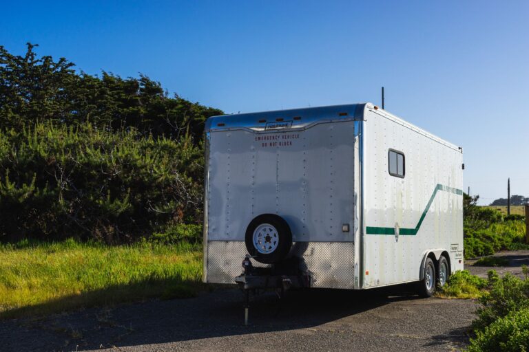 Open vs Enclosed Auto Transport: Which Should You Choose? — SpeedyWay Auto Transport