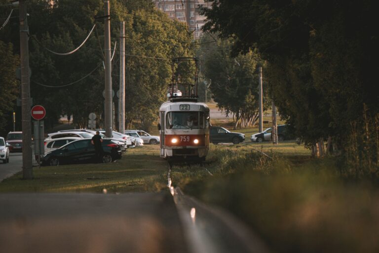 Car Shipping in Wake Forest, NC: What to Expect — SpeedyWay Auto Transport